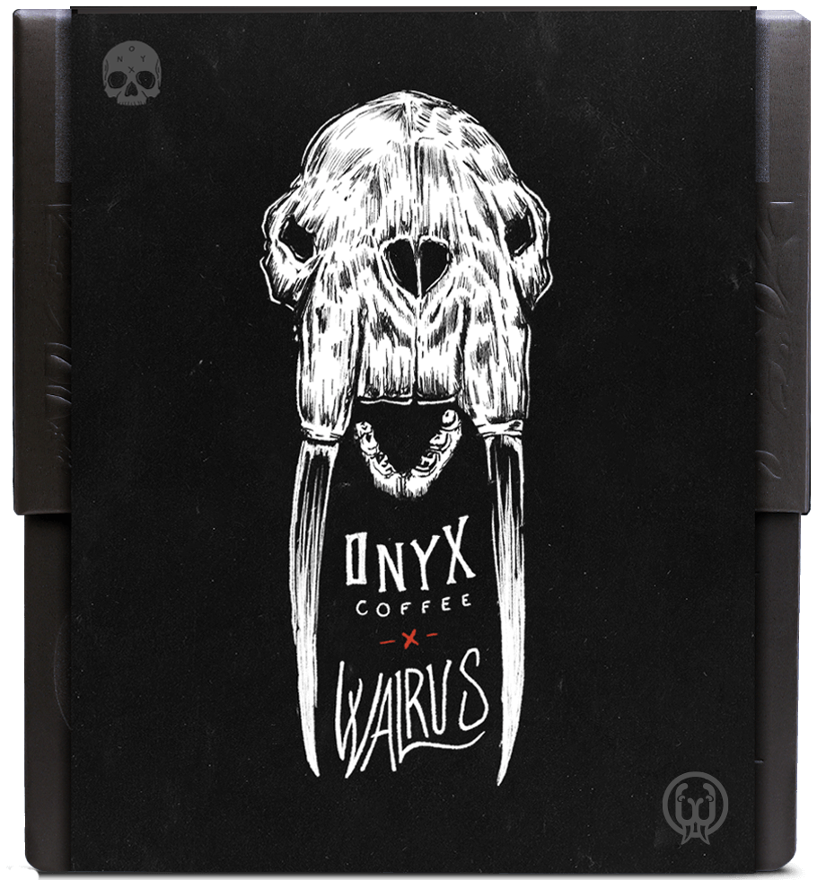 Picture of Walrus